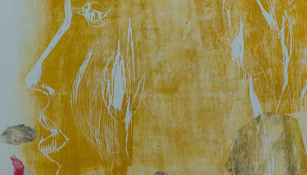 «SOS NATURA!», de Lourdes Fisa