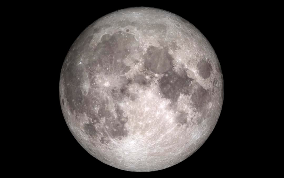 «Moonlight»