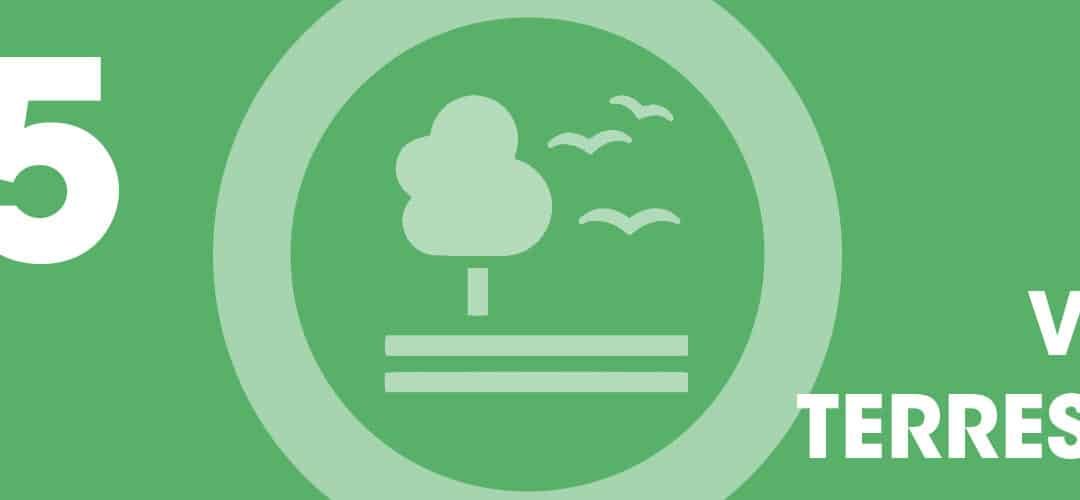 ODS 15. Vida terrestre
