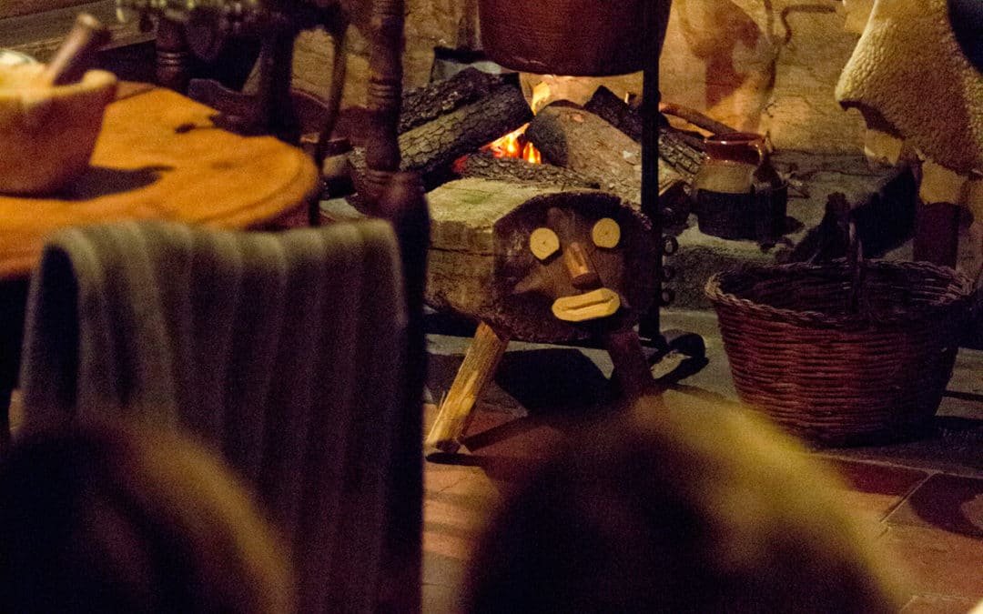 El tió ens explica els secrets del bosc!