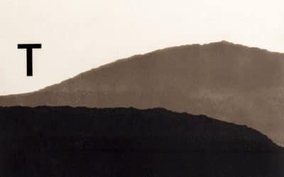 «Paisatge Viladot»