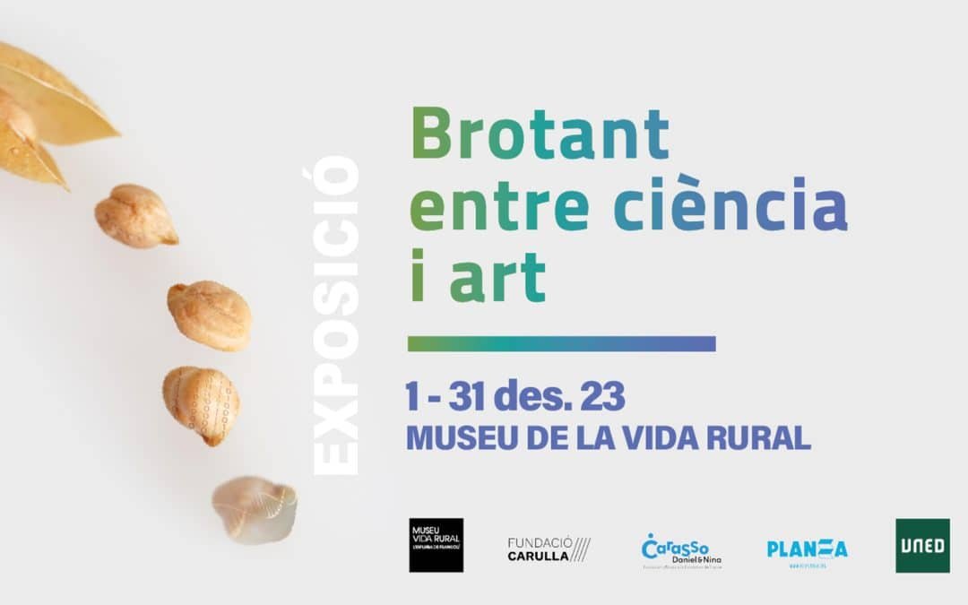 «Brotant entre ciència i art»