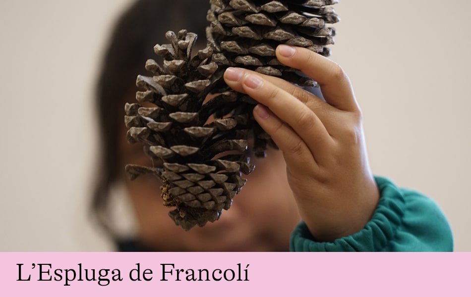 Els secrets del bosc