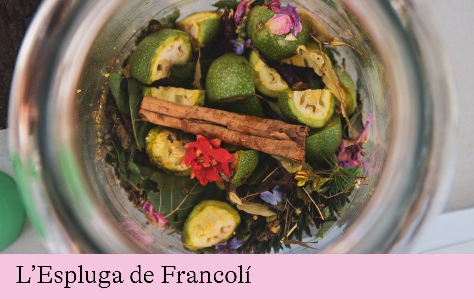 Curs d’elaboració de ratafia