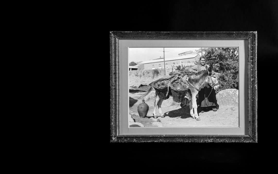 La fotografia, somriures ximples i l’eternitat exposada
