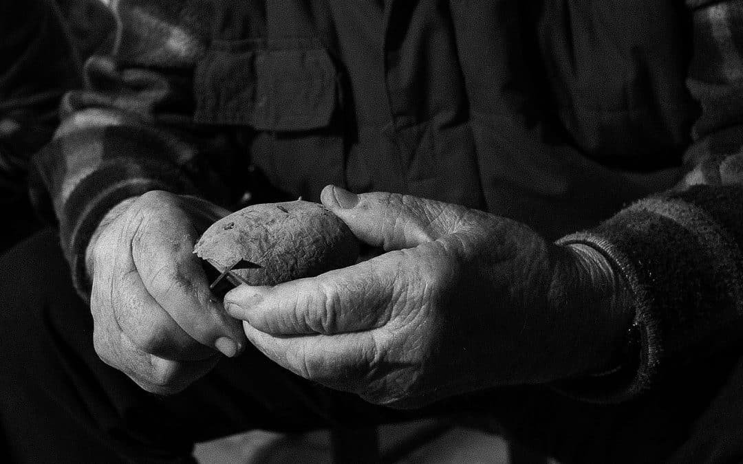 Sobre la desconsideració dels sabers del món rural tradicional