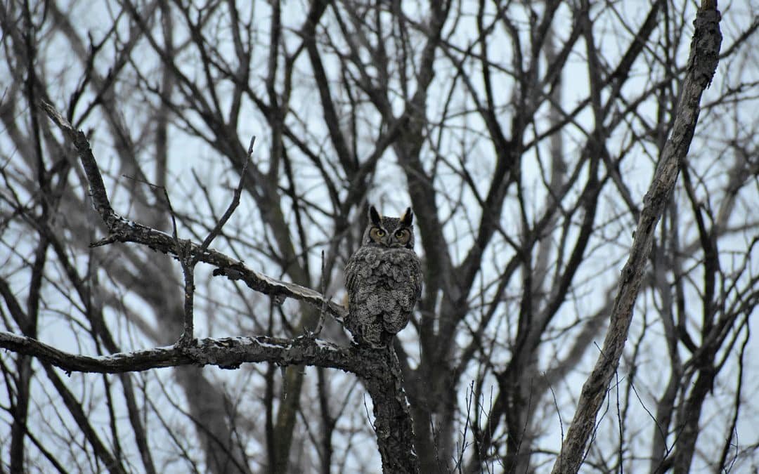 Aprendre a mirar | Parc Natural de les Muntanyes de Prades