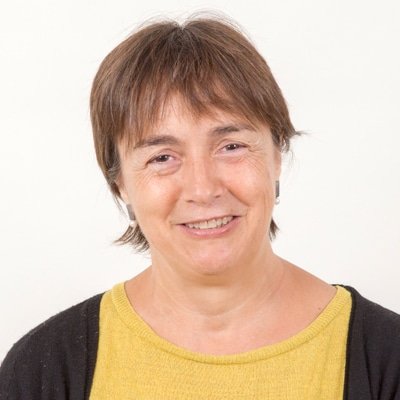 L'escriptor Màrius Serra