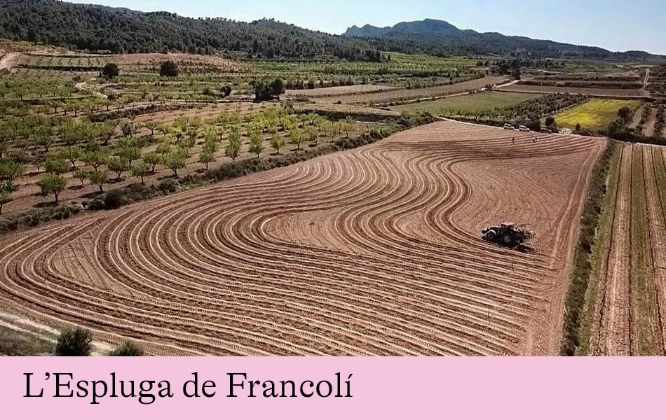 El sistema alimentari de la Conca de Barberà