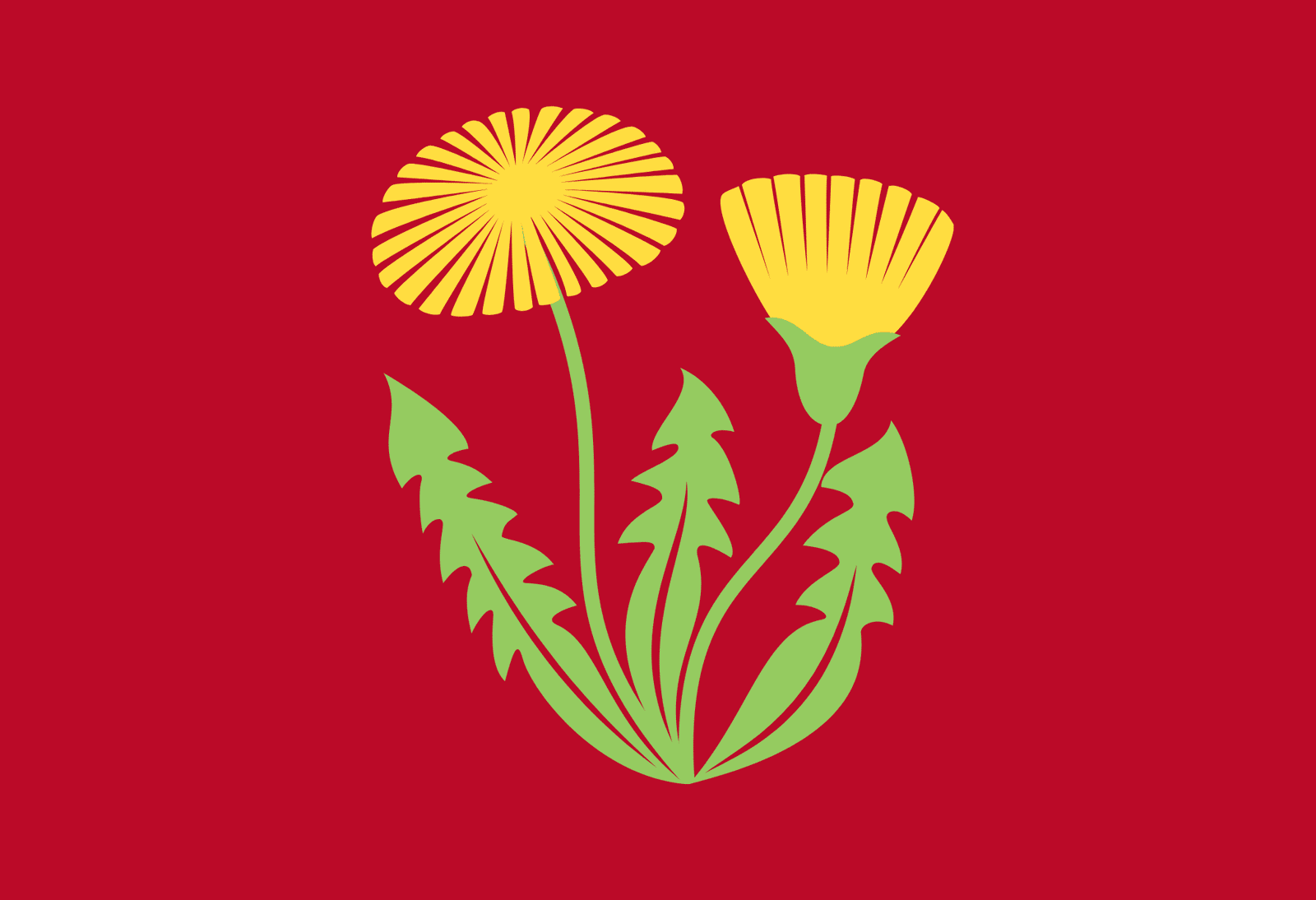 Fragment de la portada del llibre La novel·la de Sant Jordi, de Màrius Serra